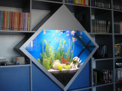 Как правильно использовать аквариум в интерьере помещения