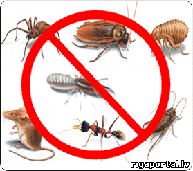 Как избавится от насекомых в вашем доме?