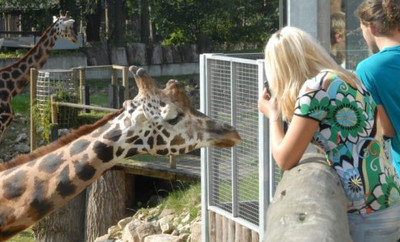 Рижский зоопарк: всегда веселое времяпровождение