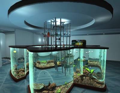 Виды аквариумов: пресноводный или морской аквариум.