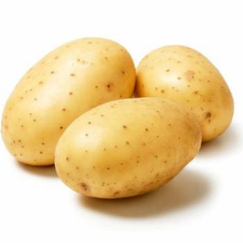 Предприниматели из Украины планируют выращивать в Латвии картофель