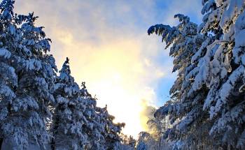 Со среды в Латвии ожидается похолодание и снег