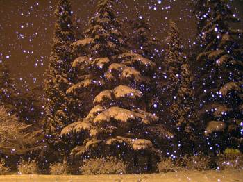 В ночь на 21 ноября в Латвии пройдут снегопады