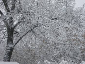 Латвию засыпает снегом