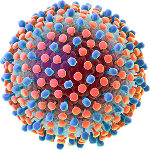 Сдача экспресс тестов на гепатит