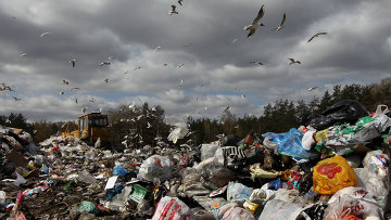 Количество нелегальных свалок мусора превышает норму - фотография