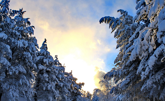 Со среды в Латвии ожидается похолодание и снег - фотография