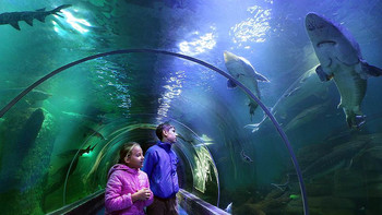Современный океанариум в Москве
