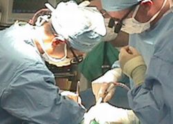Трансплантация сердца в Латвии - фотография