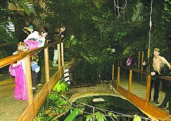 В феврале в Рижском зоопарке начинается «Тропический месяц»