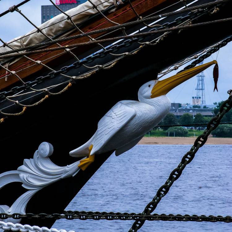 The Tall  Ships race  Riga  Latvia